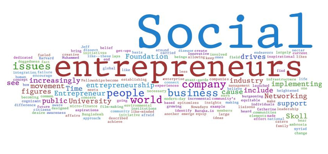 social_entrepreneurs