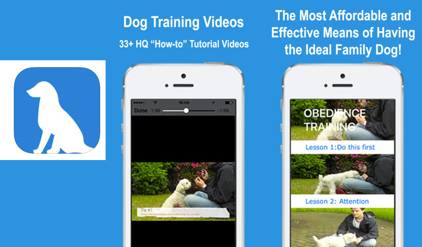 DogTraining App; An Ideal App For Training A Dog Using Video Tutorials