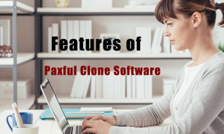 Special features of a paxful clone software