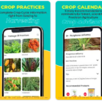 <strong>AgriApp : Smart Farming App</strong>